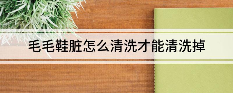 鞋脏怎么清洗才能清洗掉AG旗舰厅网站入口毛毛