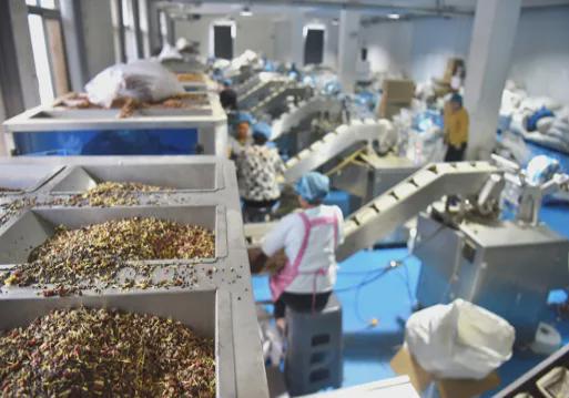 权益保护「新质供给」引领产业升级AG旗舰厅app拼多多加码商家(图2)
